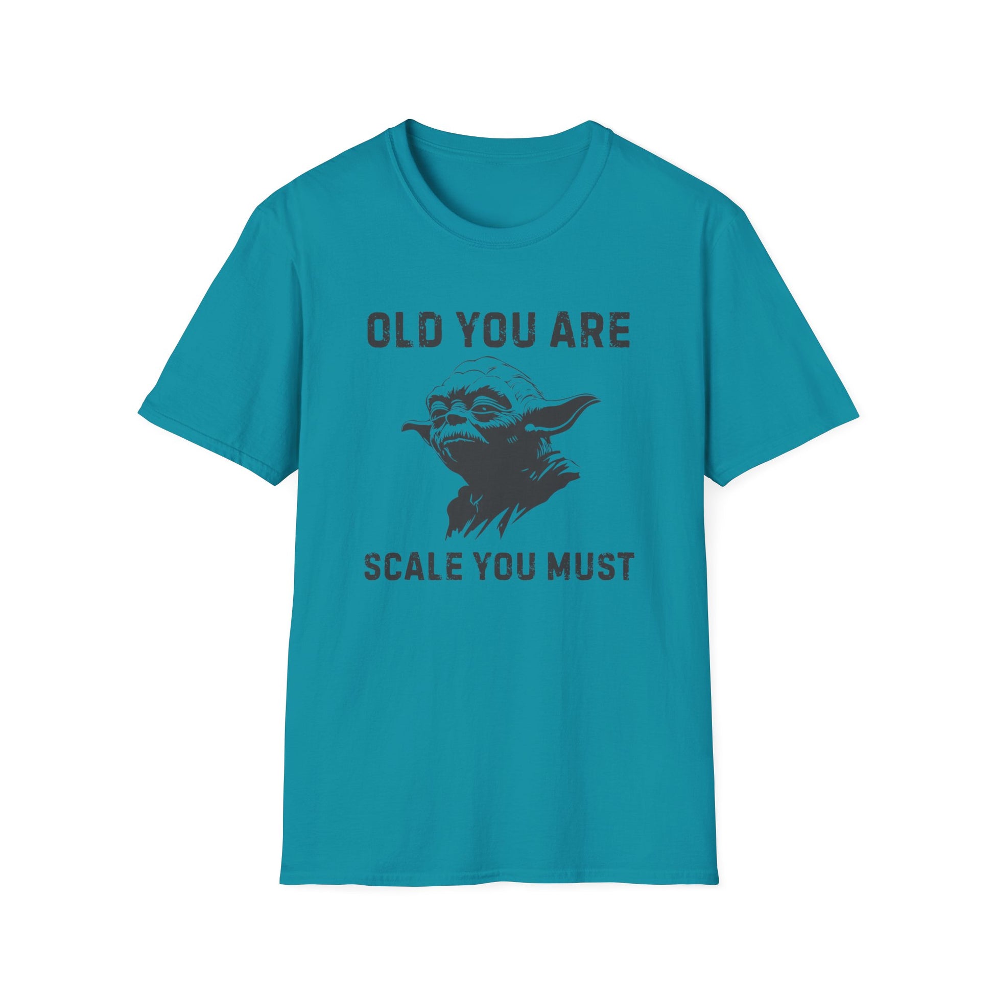 OLD YOU ARE T-SHIRT