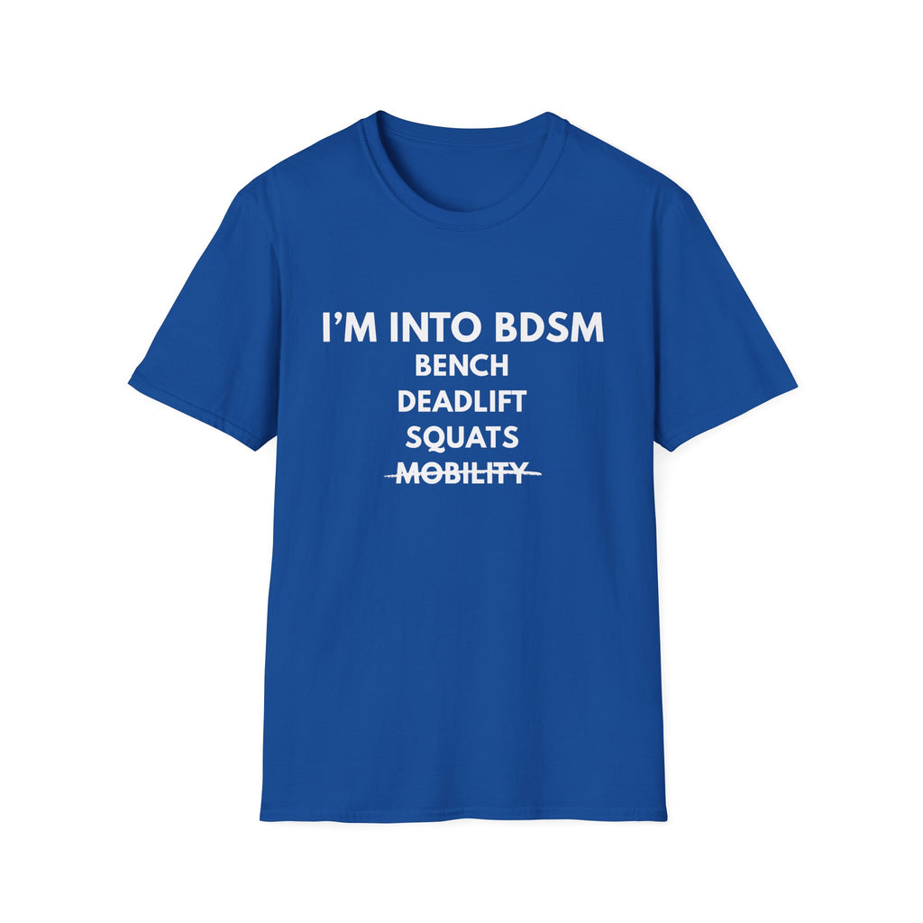 IM INTO BDSM T-SHIRT